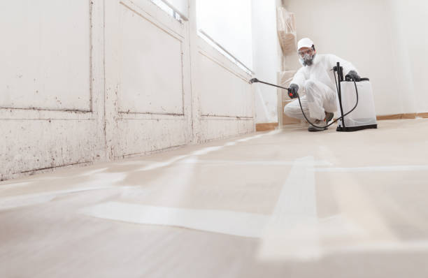 24/7 Emergency Basement Mold Remediation experts in Brunswick, MD