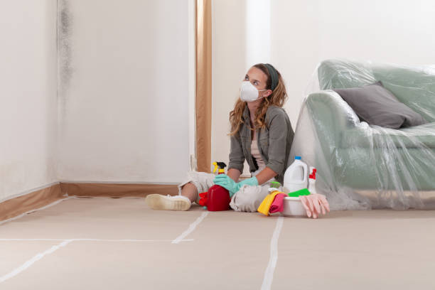 Reliable Basement Mold Remediation contractor in Brunswick, MD by WQB Mold Removal